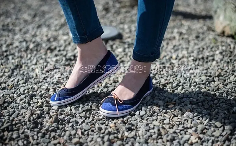 乐玩国际官方唯一官网百度学术**最新2024年男士运动鞋趋势：潮流、舒适和
功能性**