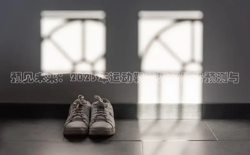 乐玩lehu唯一官网度小满支付预见未来：2025年运动鞋的流行趋势预测与