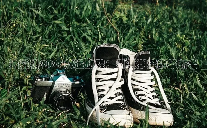乐玩lehu唯一官网歌力思迪桑特2025款运动鞋：引领潮流的革新者