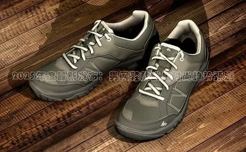 2025年度最新发布：男网鞋款式与时尚趋势预测