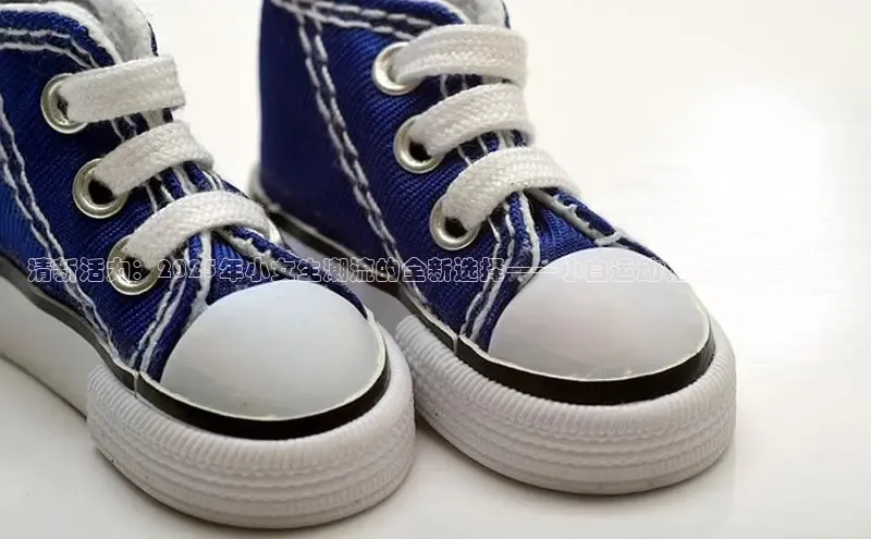 清新活力：2025年小女生潮流的全新选择——小白运动鞋女款透气设计