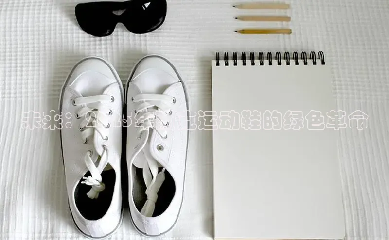 未来：2025年耐克运动鞋的绿色革命