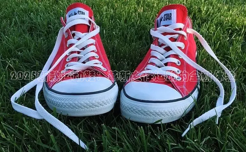 乐玩国际登录入口